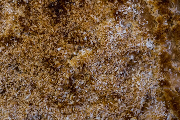 homemade cake with coconut flakes
