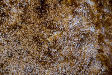 homemade cake with coconut flakes