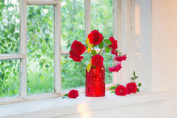 red roses in red glass vase on windowsill