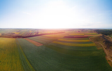 Aerial view. Green and yellow squares, agriculture, fields with plants. Garden. Summer. Harvesting and agribusiness concept