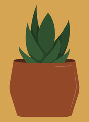 home plants drawn in vector graphics