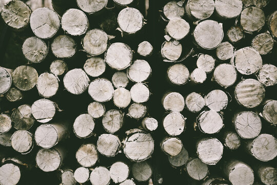 firewood