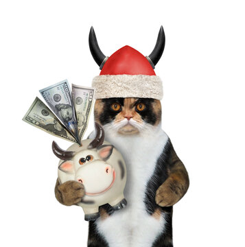 A cat Santa Claus in a viking helmet with horns holds a money box cow with dollars. White background. Isolated.