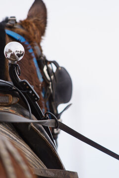 Hame ball on top of a horse collar worn by draft horses