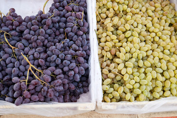 two types of grapes for sale in the market