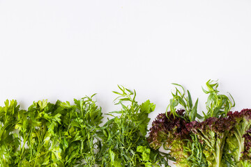Greens vegetable leaves on the white background