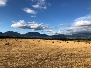 Landscape with a wheat field, hay bales and mountains in background.