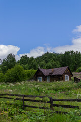 Fototapeta na wymiar Old wooden brown rustic house stands near a green forest, next to a lawn and a fence, blue sky with clouds backgroung