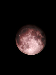 Luna © Steve Fossiant