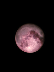 Luna © Steve Fossiant