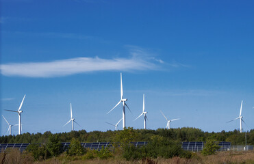 wind turbines in the field