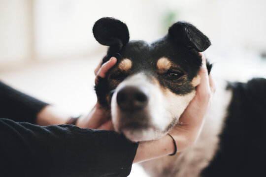 Girl playing with her dog's face