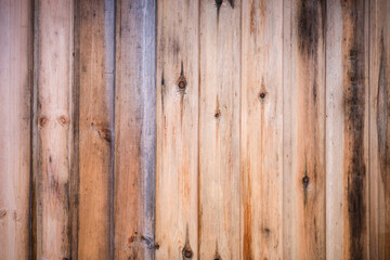 Aged unpainted wooden plank background, rot and mold on surface