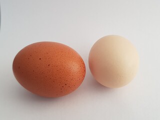 eggs isolated on white background