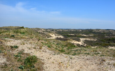 Nationalpark Süd-Kennemerland