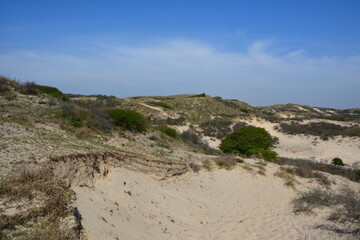 Nationalpark S&uuml;d-Kennemerland