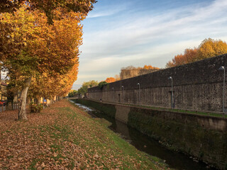 Fototapeta na wymiar landscape with trees and field orange by autumn, water channel and big wall