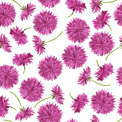 Seamless pattern with purple dahlia or chrysanthemum flowers on white background. Hand drawn watercolor illustration.