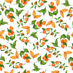 Seamless pattern with autumn orange and green berries and leaves on white background. Hand drawn watercolor illustration.