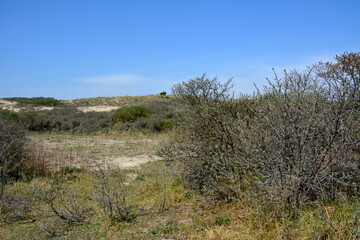 Nationalpark S&uuml;d-Kennemerland