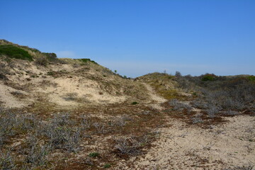 Nationalpark Süd-Kennemerland