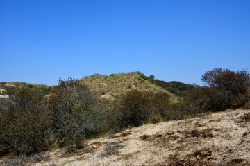 Nationalpark Süd-Kennemerland