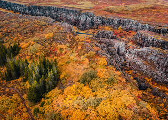 Aerial view of canyon in national park Thingvellir, Iceland, autumn landscape