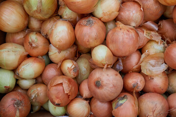 Fresh onions as a background. Pile ripe onions in market