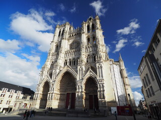 Fototapeta premium OLYMPUS DIGITAL CAMERA