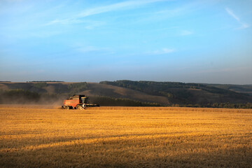 Mountain landscape. The harvester harvests wheat at a beautiful sunset.