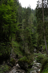 Fototapeta na wymiar Breitachklamm gorge in the Allgau Alps, Bavaria, Germany