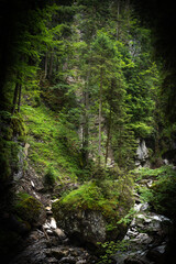 Breitachklamm gorge in the Allgaeu Alps, Bavaria, Germany