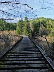 Fototapeta premium railway in the forest