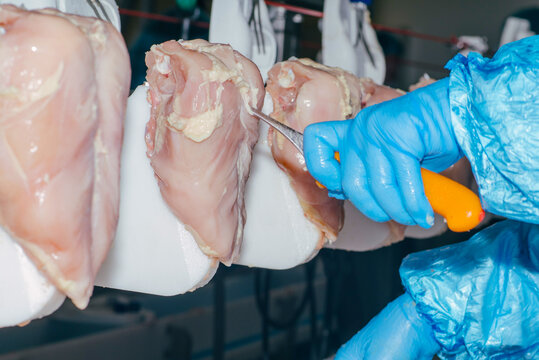 Food industry detail with poultry meat processing.Factory for the production of chicken meat.Technological process.