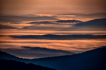 Obraz premium Sunrise over the mountain forest. Bieszczady National Park. Carpathian Mountains. Poland.