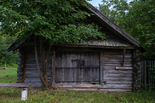 An old rustic barn with a wooden bench and a green tree.
