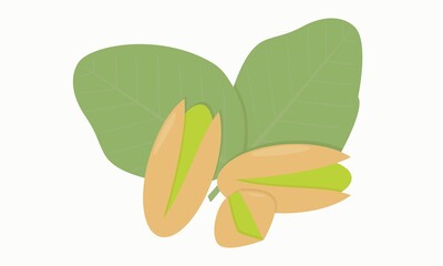 pistachios with leaves