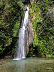 Cascada Bosque 