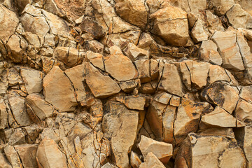The cracked surface of a sheer cliff.