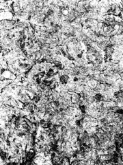 Abstract, grungy, grain, stone, wall, transparent backdrop, Background to use for overlay, texture, montage or brushes. Easy to recolor. Abstract vector illustration, eps 10. 