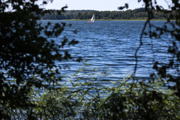 schaalsee lake in germany in the summer