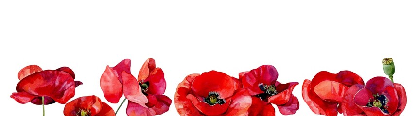 Horizontal watercolor frame of scarlet poppies on white background