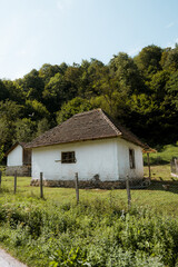 Plakat Old typical traditional house with a beautiful forest and mountain views
