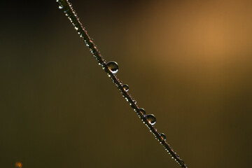 gotas de agua