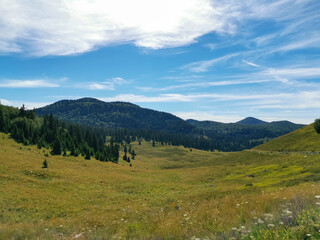 Beautiful green meadows and coniferous forest in the Northern Velebit National Park in Croatia