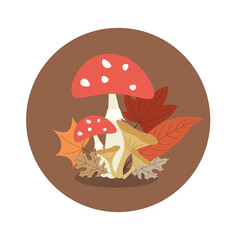 bouquet of mushrooms vector illustration