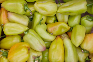 Sweet green bell pepper on the market close-up.
