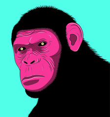 bad face gorilla. Vector illustration.
