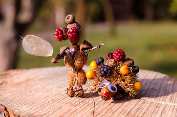 autumn, colors, fall, creative ideas