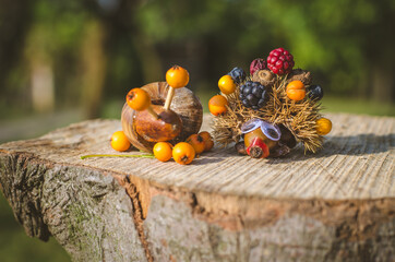autumn, colors, fall, creative ideas